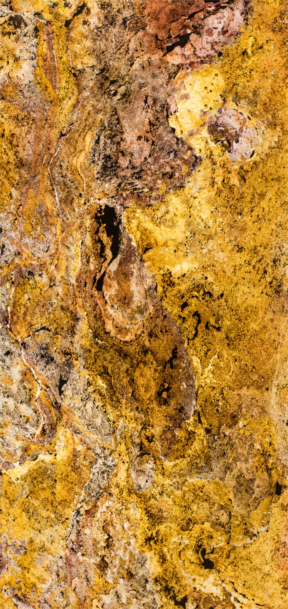 Feuille de pierre translucide SC-T01 — Design by Stone Creation