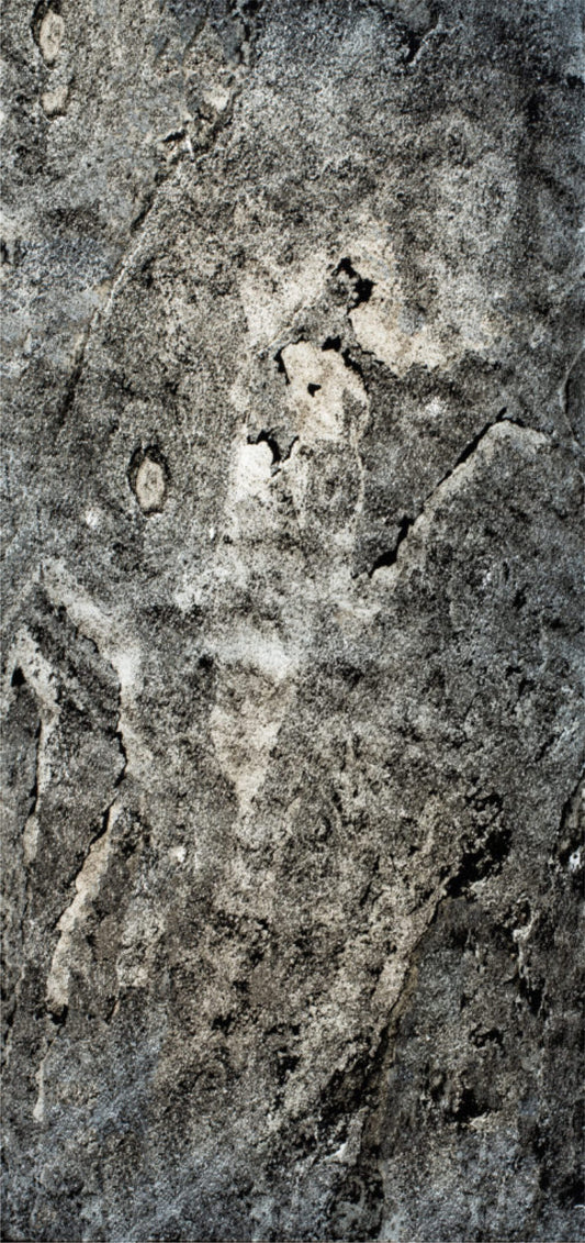 Feuille de pierre translucide SC-T03 — Design by Stone Creation