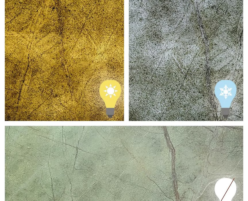 Feuille de pierre SC-T04 — Rainforest Green