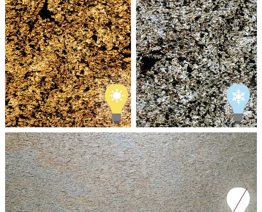 Feuille de pierre SC-T07 — Argento Auro