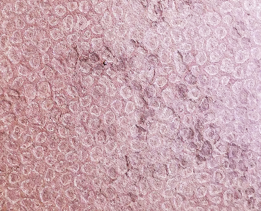 Feuille de pierre SC-10 — Red Shell