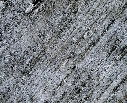 Feuille de pierre SC-T11 — D.Black