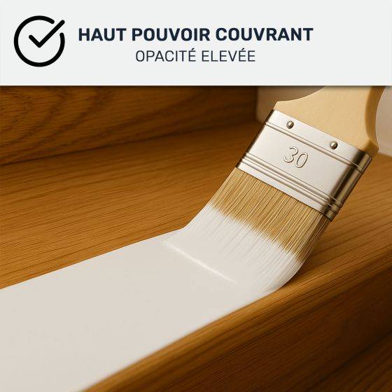 Peinture Escalier Bois Professionnelle Haute Résistance – Anti-Abrasion – Lessivable – Intérieur - Shop Stone Creation