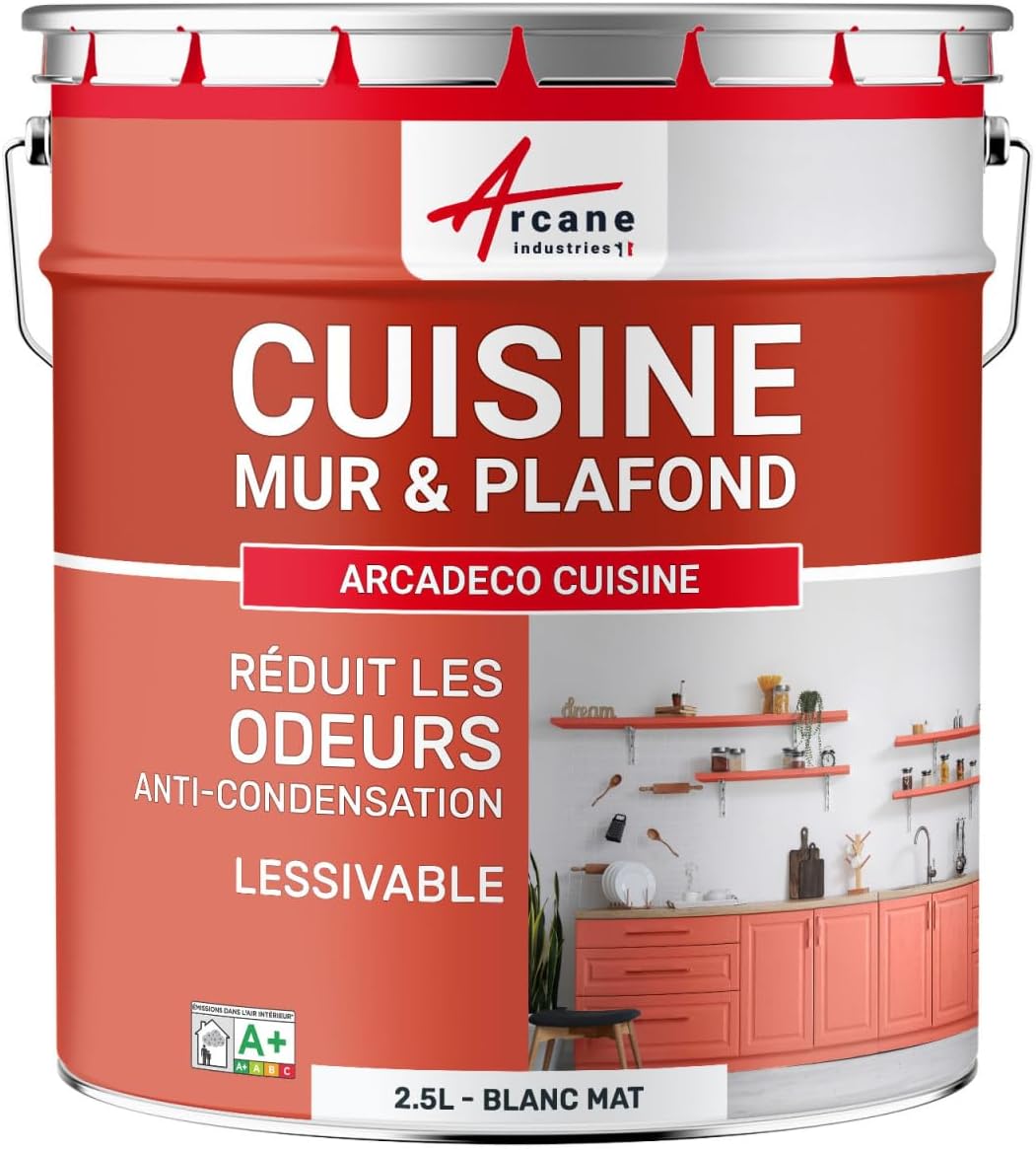 Peinture cuisine professionnelle anti-odeur & anti-condensation – Lessivable – Anti-moisissure – Murs & plafonds - Shop Stone Creation