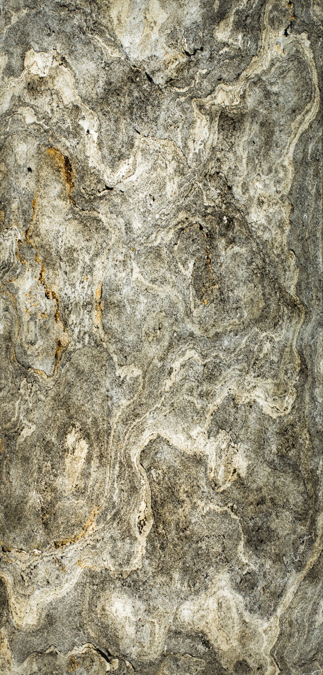 Feuille de pierre translucide SC-T04 — Design by Stone Creation