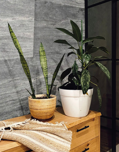 Feuille de pierre SC-04 — Grey Limestone - Shop Stone Creation