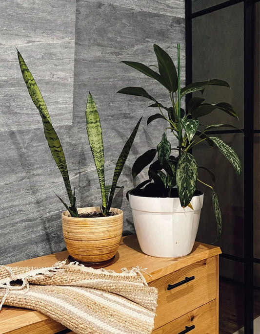 Feuille de pierre SC-04 — Grey Limestone - Shop Stone Creation