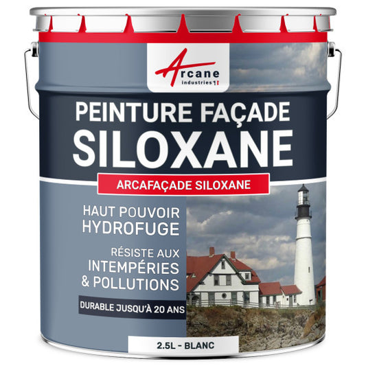 Peinture Professionnelle Façade Siloxane – Hydrofuge, Imperméabilisante & Haute Résistance - Shop Stone Creation