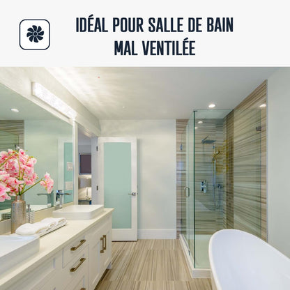 Peinture salle de bain professionnelle anti-condensation – Anti-humidité – Lessivable – Murs & plafonds