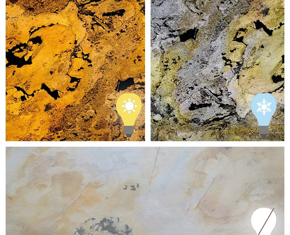 Feuille de pierre SC-T06 — Falling Leave