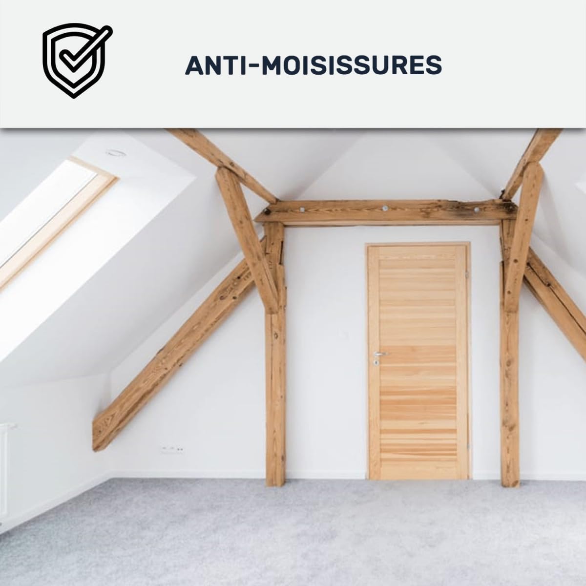 Peinture professionnelle anti-condensation & anti-odeur – Pièces humides – Lessivable – Anti-moisissure – Murs & plafonds
