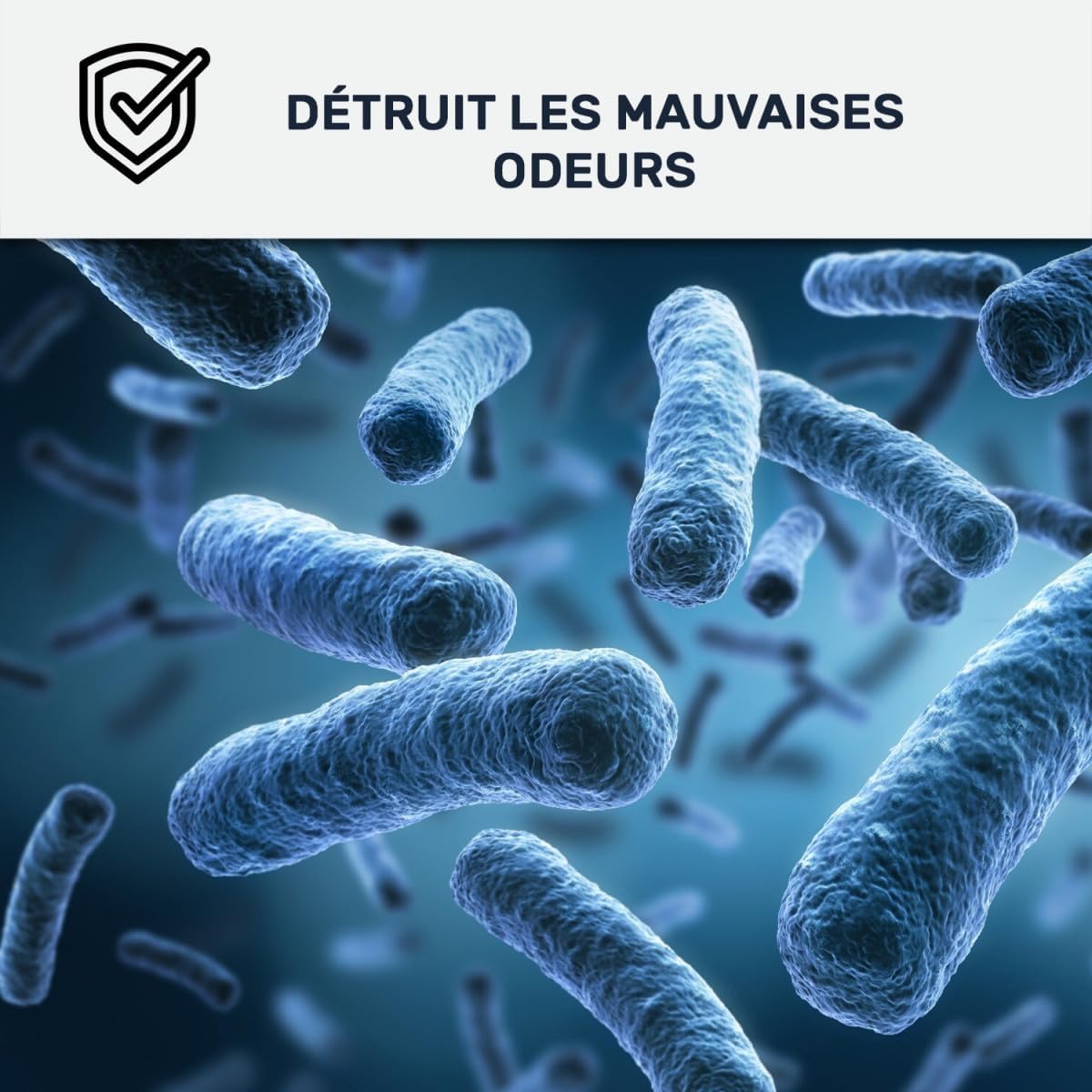 Peinture professionnelle anti-condensation & anti-odeur – Pièces humides – Lessivable – Anti-moisissure – Murs & plafonds
