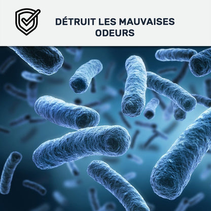 Peinture professionnelle anti-condensation & anti-odeur – Pièces humides – Lessivable – Anti-moisissure – Murs & plafonds