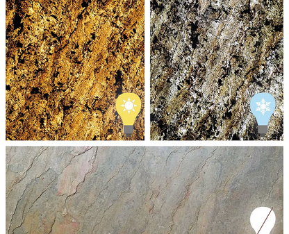 Feuille de pierre SC-T09 — Burning Forest